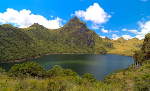 En Marzo: Experiencia Reserva Nacional Cayambe Coca