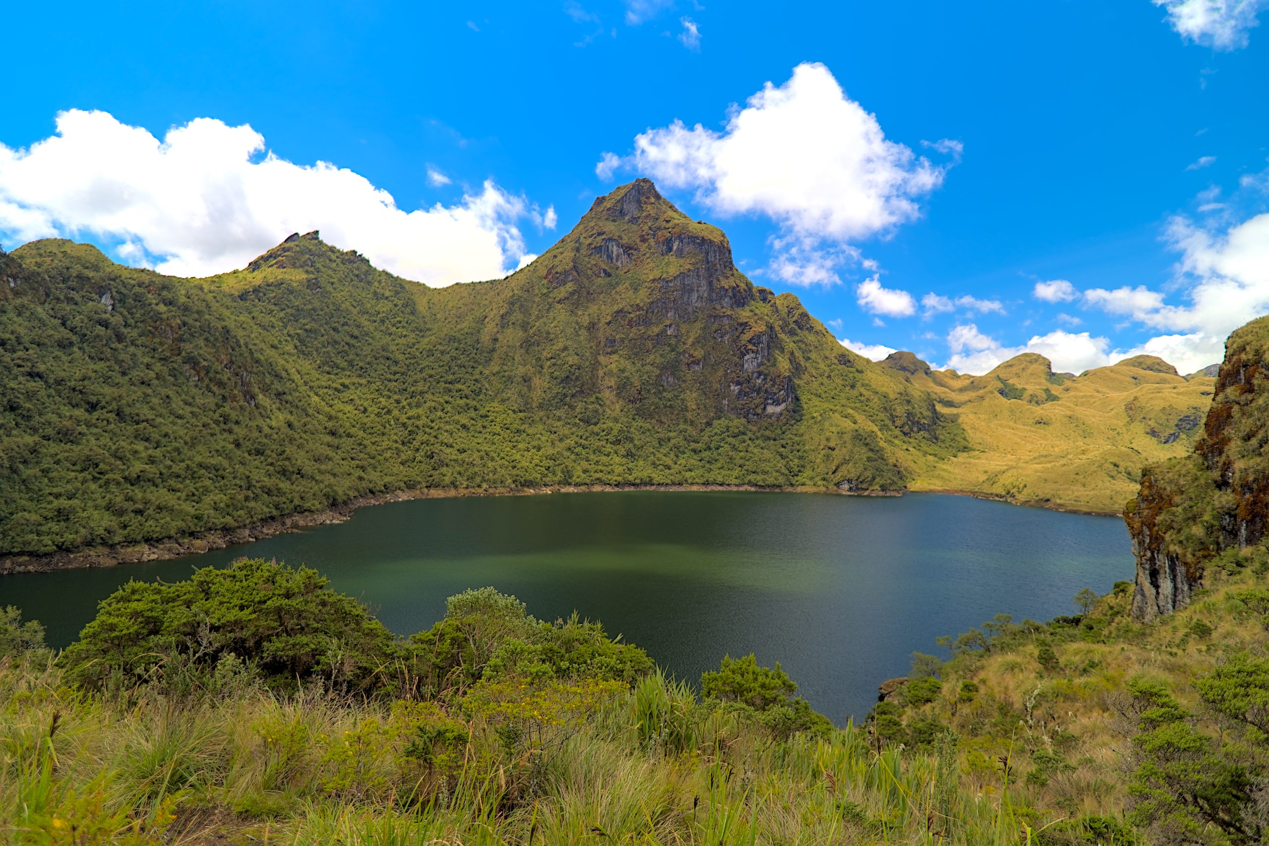 En Marzo: Experiencia Reserva Nacional Cayambe Coca